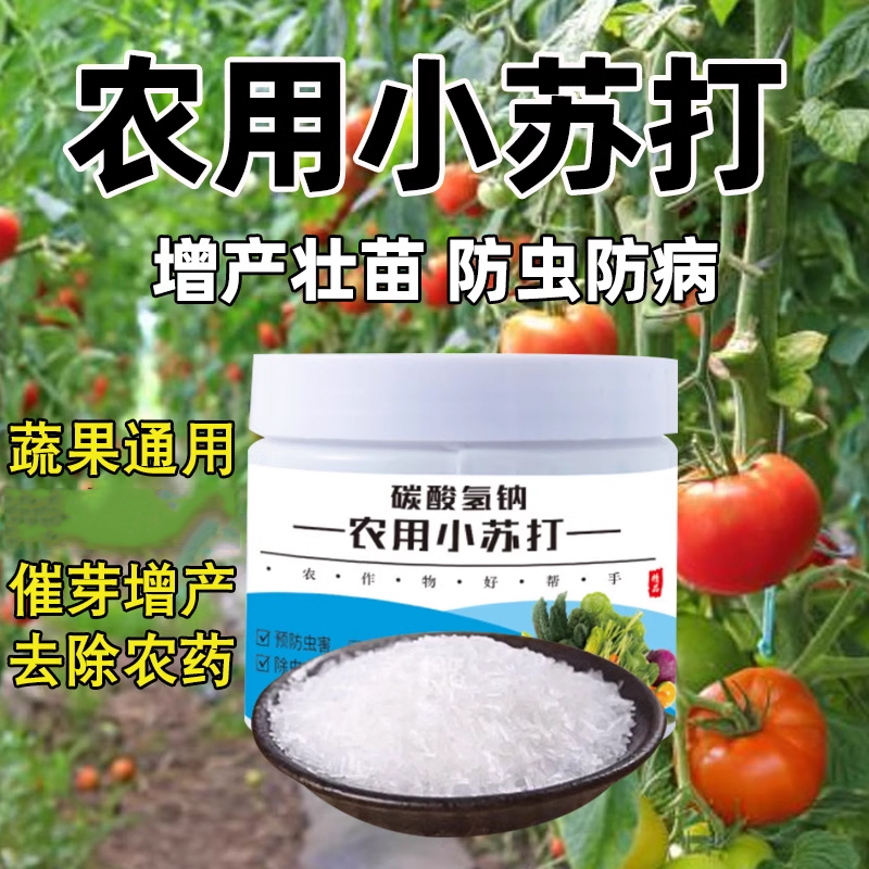 小苏打农用种菜去药残留防虫害
