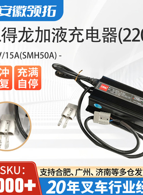 电动叉车配件DL得龙加液充电器(220V)12V/15A(SMH50A)原厂现货