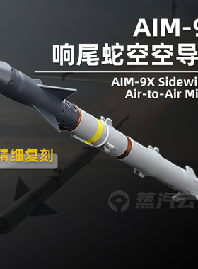 【3D打印】AIM-9X响尾蛇空空导弹仿真军迷摆件1:8装备模型收藏