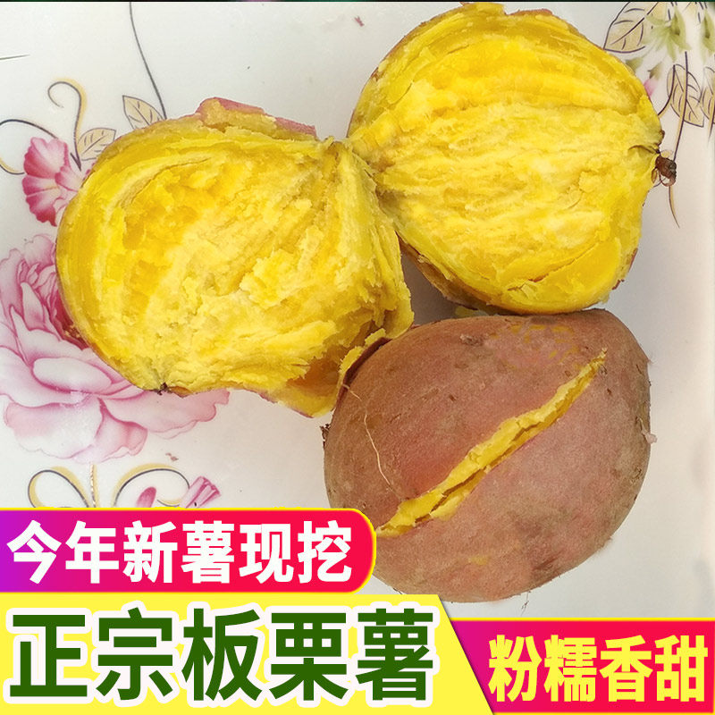 板栗红薯新鲜农家自种黄心栗子干面地瓜现挖粉糯甜鸡蛋黄番薯 5斤