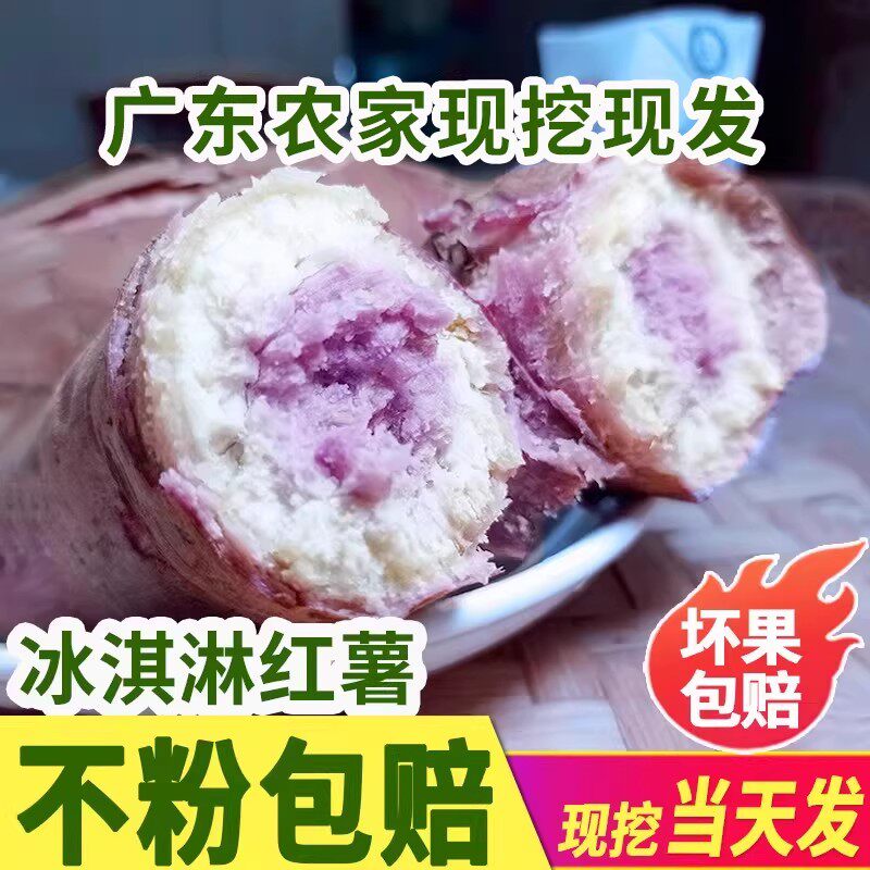 新鲜冰淇淋番薯一点红现挖紫心沙地农家自种粉糯板栗红薯9斤地瓜