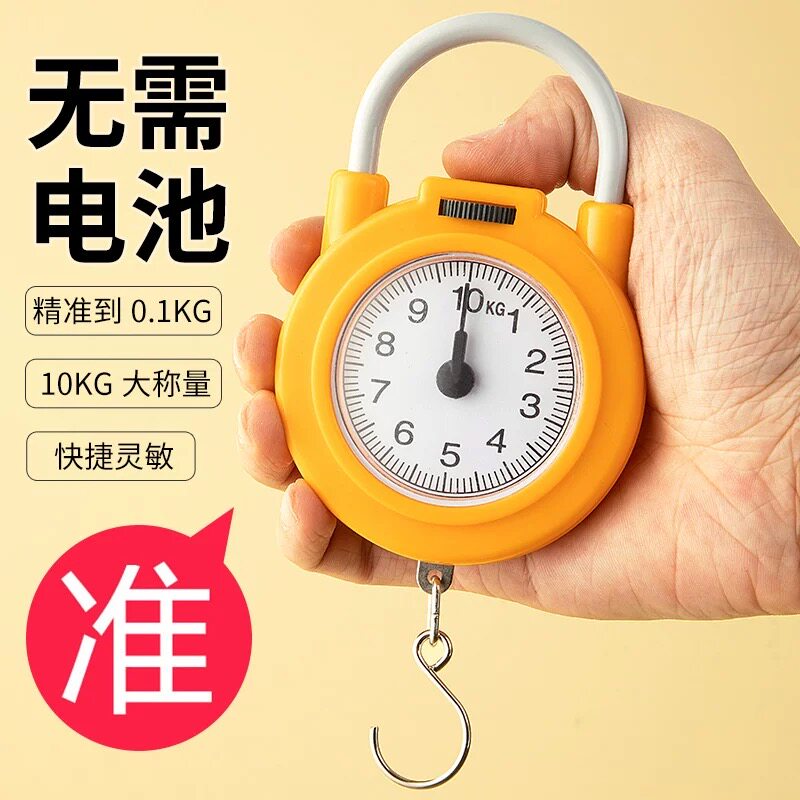 弹簧秤高精度手提称便捷式家用随身带小勾称小型手提多功能秤