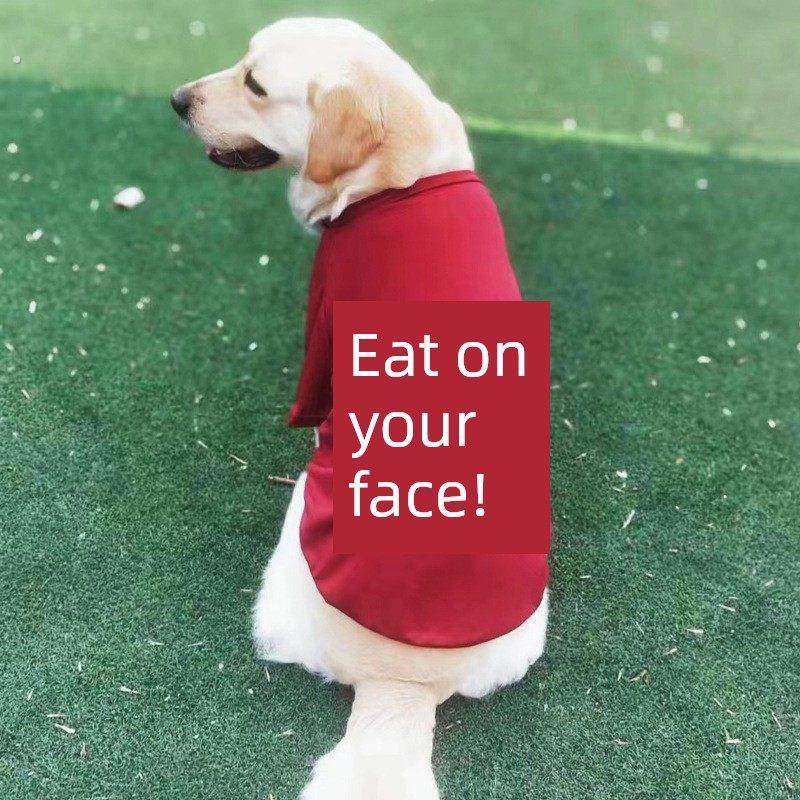 狗狗衣服夏季背心大中型犬金毛拉布拉多萨摩耶防掉毛薄款宠物衣服,宠物/宠物食品及用品,狗宠物服装/雨衣,淘宝优惠券,粉丝福利购,淘宝优惠卷