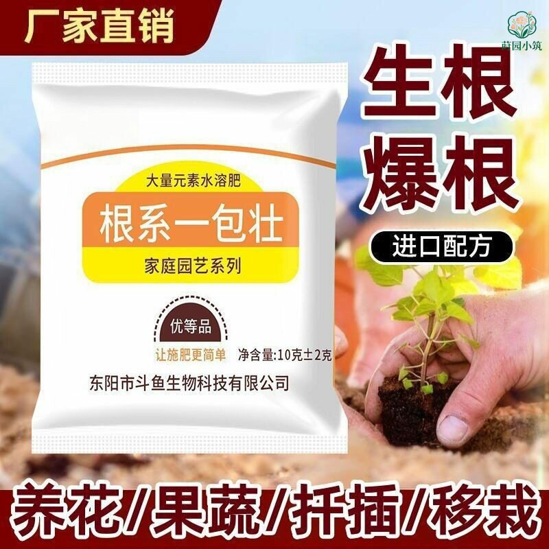 根系一包壮花卉植物室内花盆栽