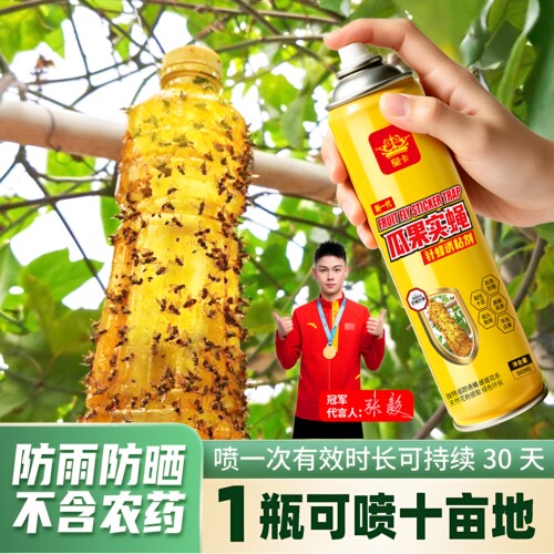 黄板双面粘虫板诱捕实蝇针蜂