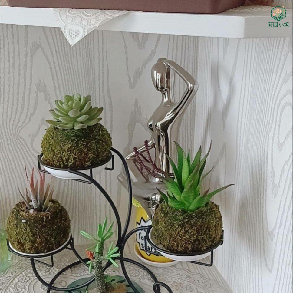 创意花盆苔藓球花盆苔玉盆栽石斛盆微景观青苔盆保湿迷你拇指花盆