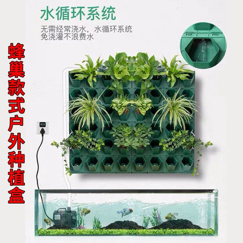 简约塑料水培壁挂花盒