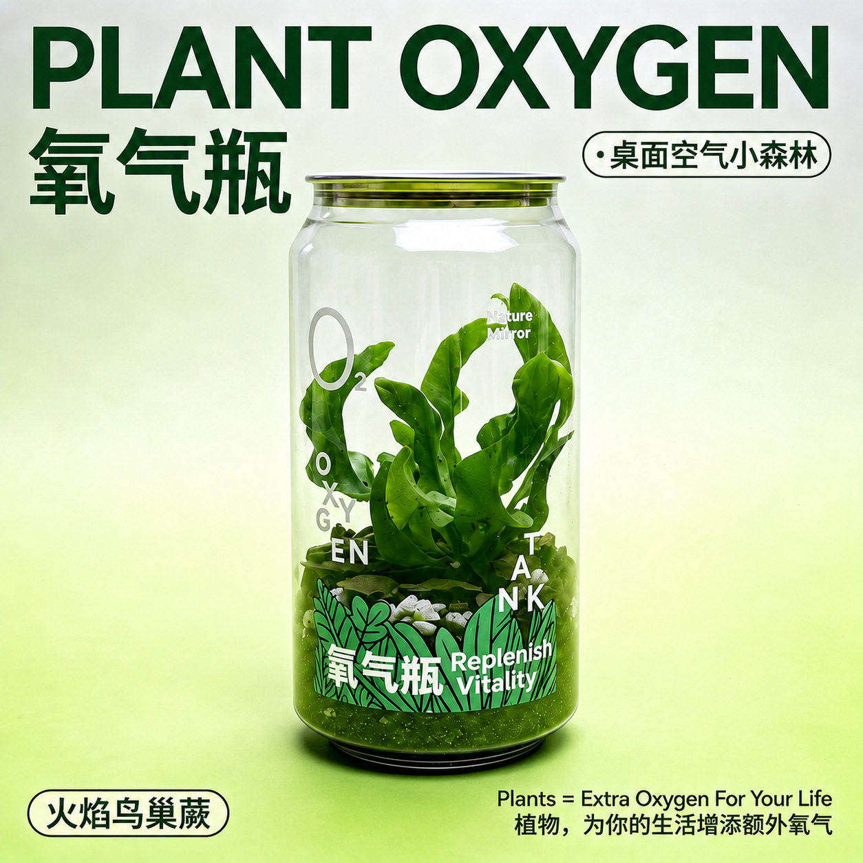 迷你呼吸瓶盆栽桌面微景观净化