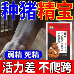 公猪不爬跨性冷淡配种死精少活力低精力旺不发情提高体质性繁殖率