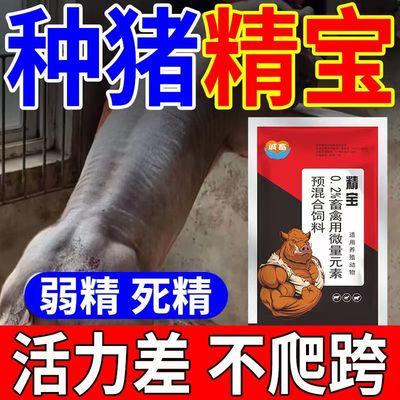 公猪不爬跨性冷淡配种死精少活力低精力旺不发情提高体质性繁殖率