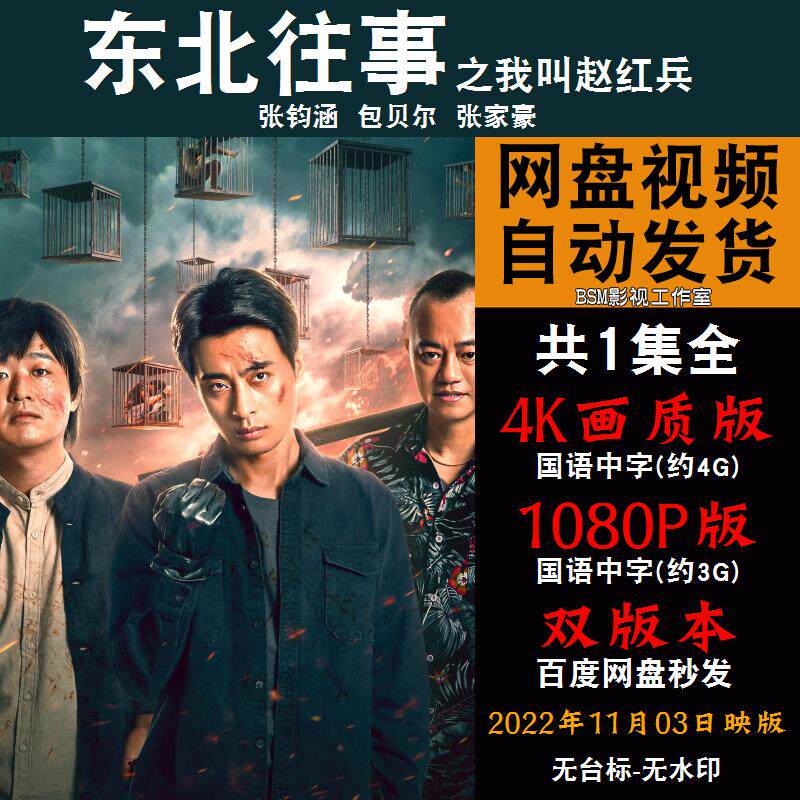 东北往事之我叫赵红兵 国语电影 4k宣传画1080p影片非装饰画
