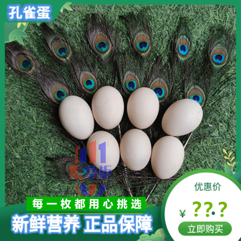 孔雀蛋食用散养新鲜营养