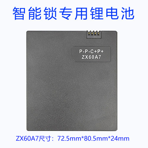 密码锁专用锂电池TZ66TZ66-E
