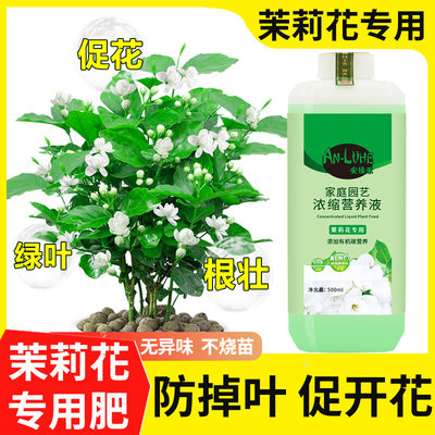 茉莉花专用营养液促开花延花期