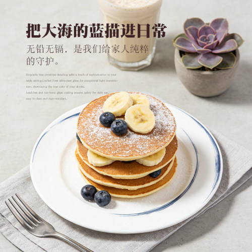 德国进口盘子早餐盘菜盘瓷器餐具