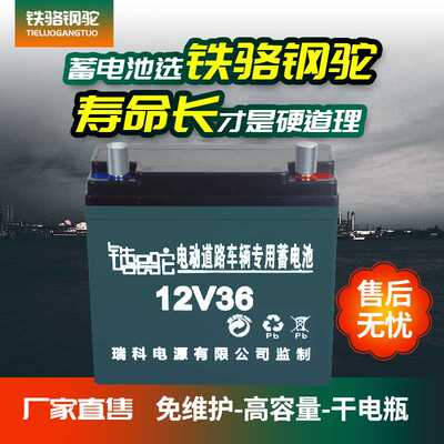 12V电瓶专用电瓶夜市干电瓶12v36ah80a120蓄电池照明太阳能抽水电