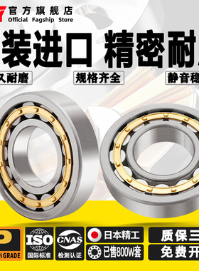 ZCY进口圆柱滚子轴承NJ405/406/407/408/409/410/411/412EM P5 P4