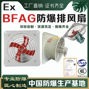 EX防爆排风扇BFAG-300壁式百叶式工业防爆换气扇220V轴流风机380V