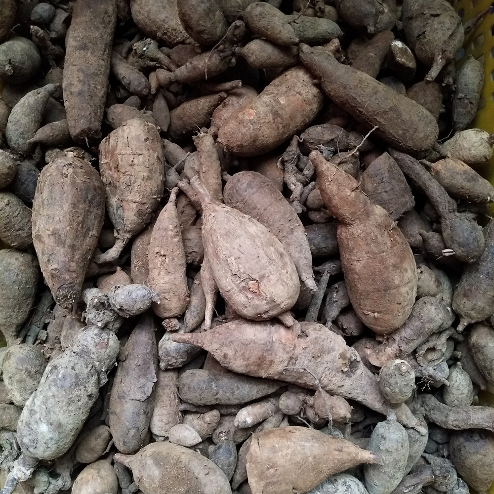 新鲜白蔹2022产新野生见肿消山地瓜山葡萄磨粉白脸干货中药材500g