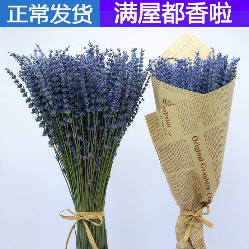 新束疆伊犁天然鲜薰衣草干花SVQ礼盒家具客厅花瓶装饰花粒香花包