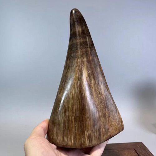 披毛犀老亚鱼籽纹原色天然保真