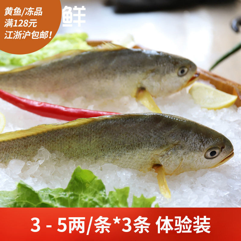 【特惠装】浙一鲜冰鲜大黄鱼3-5两3条装 温州南麂岛深海现捕鲜鱼