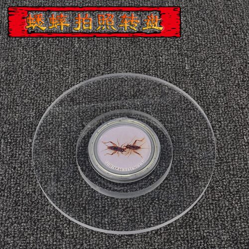 蟋蟀蛐蛐拍照转盘看虫选虫用具斗蛐蛐蟋蟀转盘静音转盘亚克力转盘