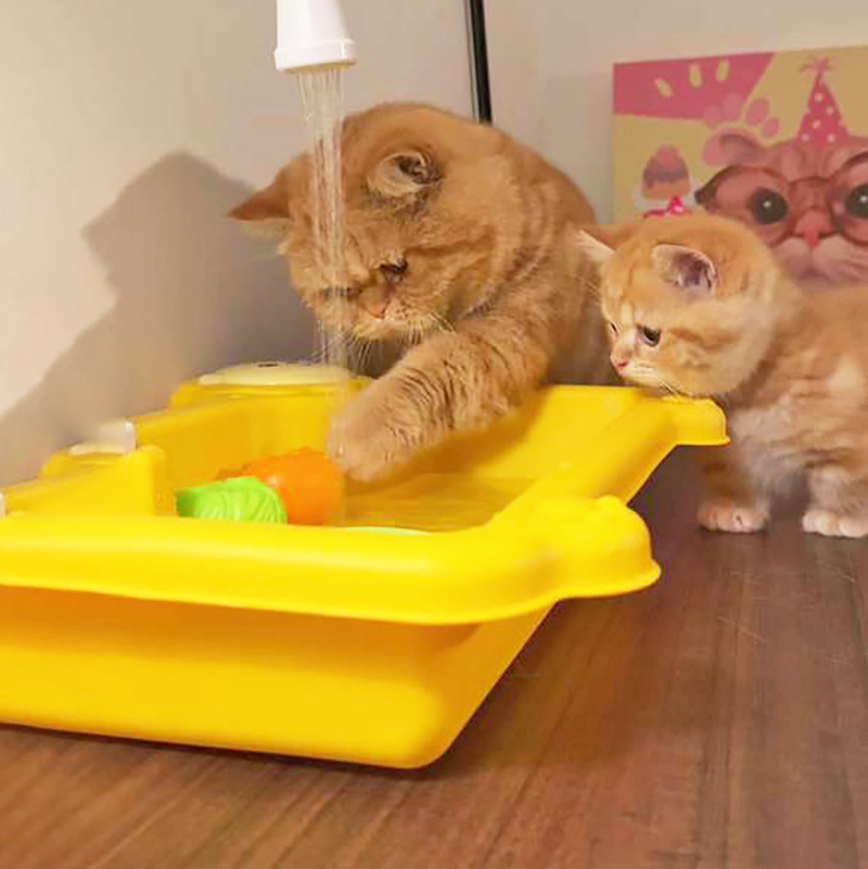 这个玩具多功能~骗猫喝水神器