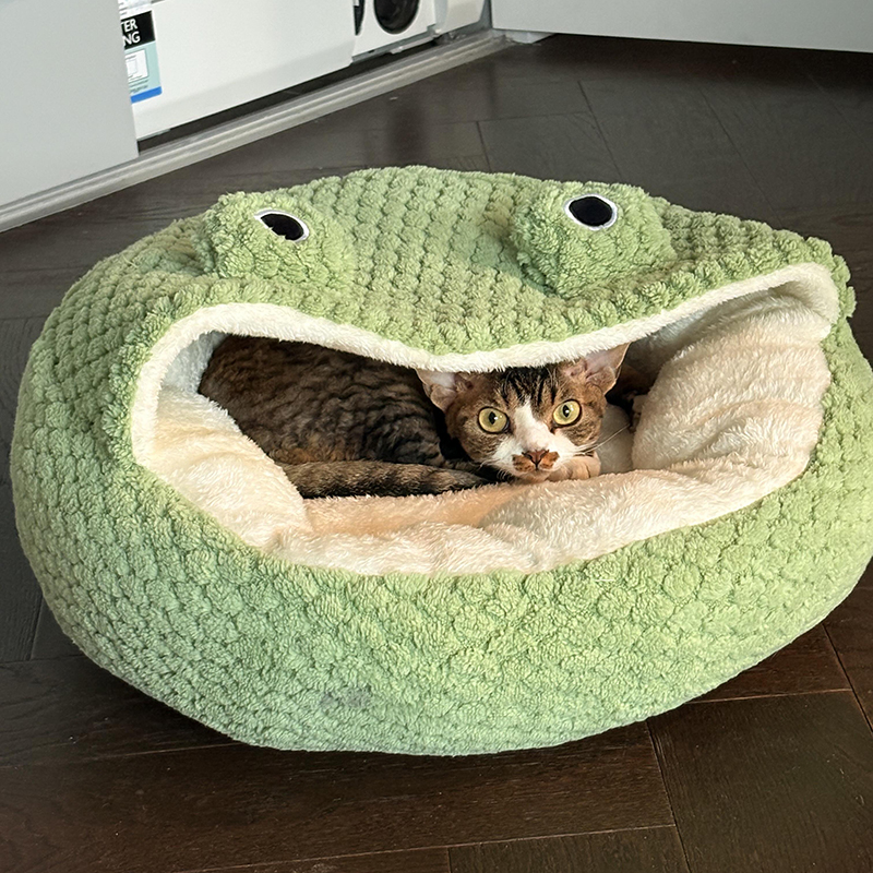 这个青蛙猫窝好可爱啊~