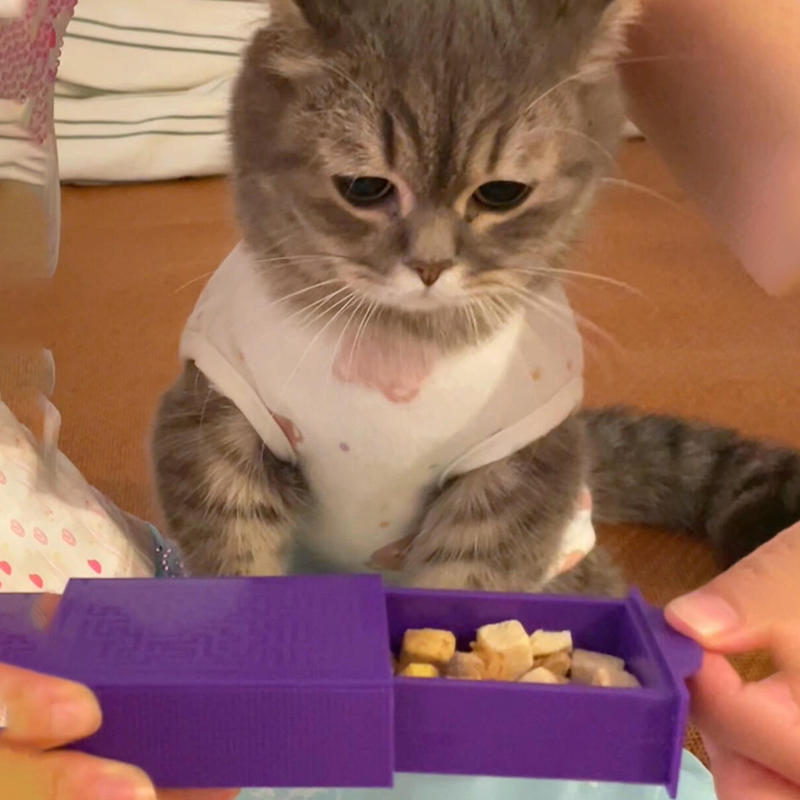 冻干魔术盒子逗猫抽拉式百变空盒子变东西无中生有猫咪条零食玩具