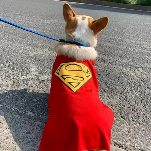 ПЭТ сверхчеловеческая одежда красной собаки смешной, смешная кошка Корки Баррин Тедди Летняя Тонкая Модели Трансформация