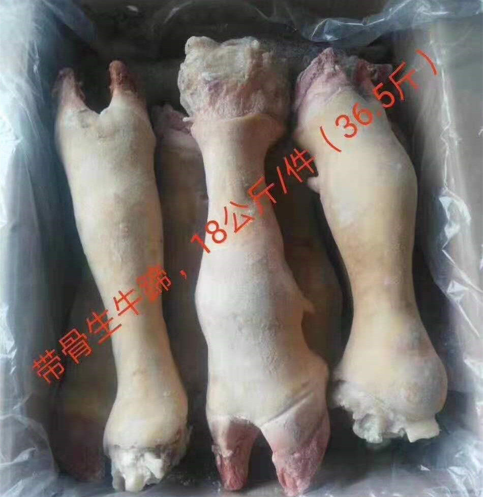 净重36斤多黄牛蹄整只新鲜冷冻牛蹄子带骨牛蹄生牛蹄带筋优质牛蹄