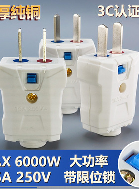 纯铜插头二脚防摔2角加厚铜两脚白色插头16a通用大功率旋转二插头
