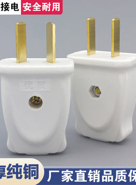 正品插头二脚两脚10a家用二通纯铜摔不烂阻燃白色二极电源二插头
