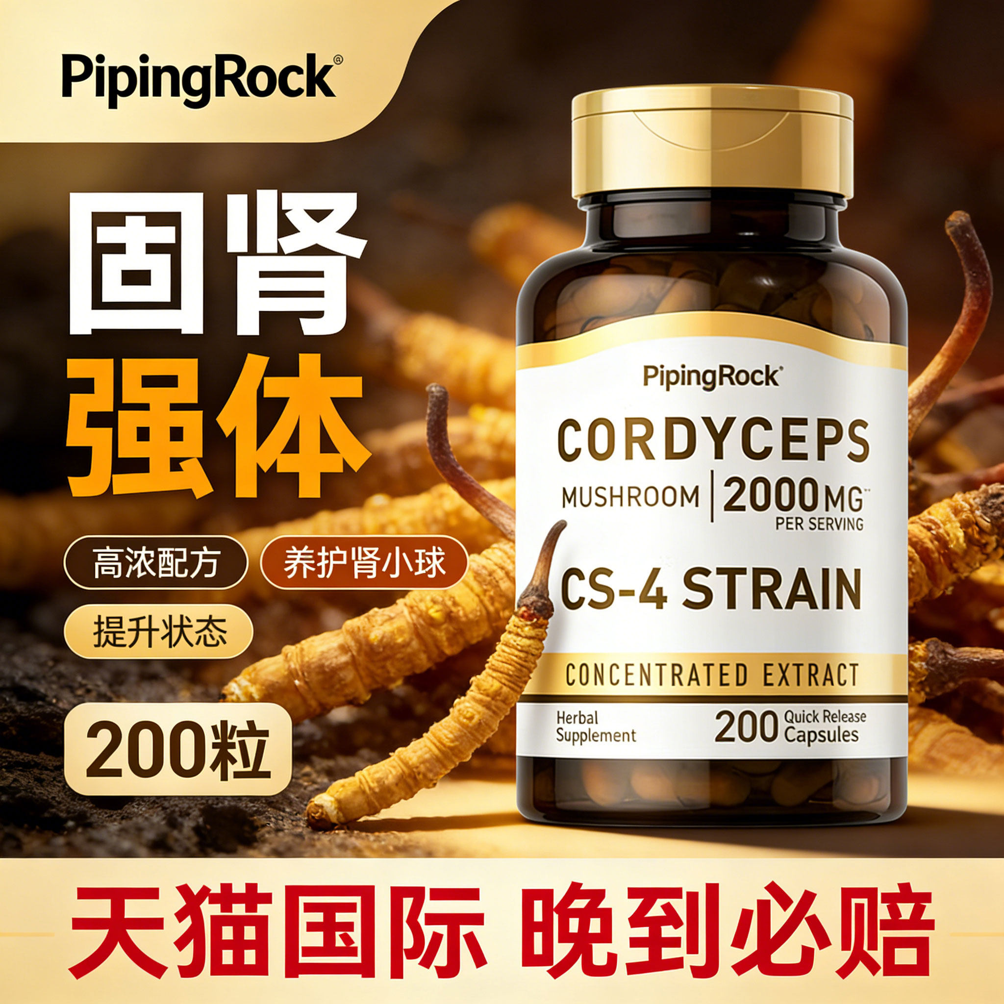 cordyceps冬虫夏草虫草养生胶囊冬从夏草护肾补肺强肾保健品腺苷