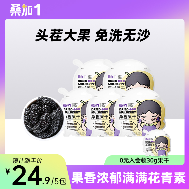 農科院桑椹果干孕婦兒童零食無沙