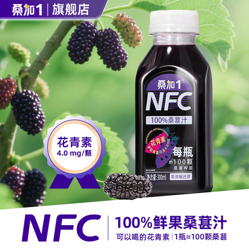 纯桑椹原汁 不加水不加糖不含防腐剂