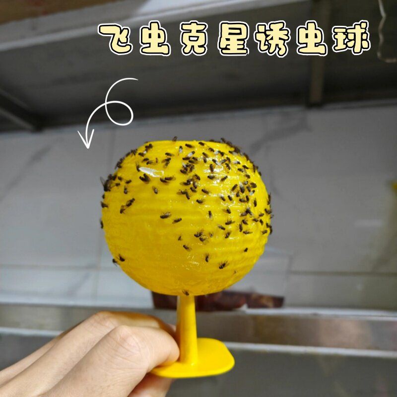 苍蝇消灭神器果蝇虫子蚊子诱捕粘虫球室内强力粘诱蝇球陷阱诱虫灯