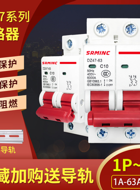 上海人民空开DZ47-63空气开关微型断路器2P 3P漏电保护型小型家用