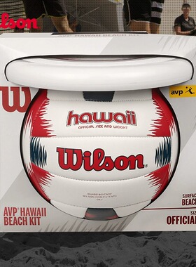 Wilson威尔胜排球学生中考专用5号训练比赛AVP沙滩硬排球飞盘套装