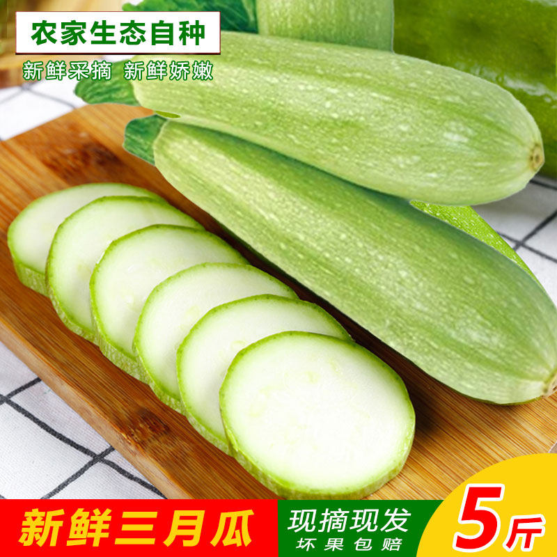 云南新鲜蔬菜小瓜西葫芦瓜番瓜北瓜角瓜应季三月瓜5斤脆嫩爽口