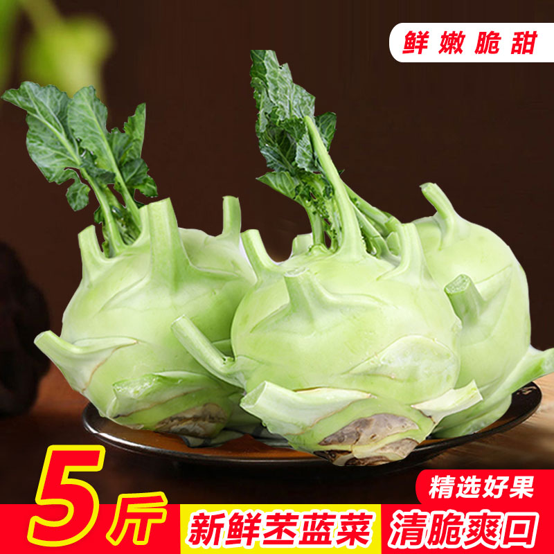 云南新鲜蔬菜苤蓝甘蓝芥兰芥菜头农家自种当季可生吃凉拌煲汤5斤