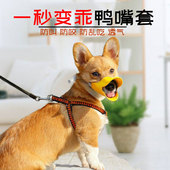 狗狗嘴套嘴罩防乱吃防咬人防叫小狗口罩防误食小型犬泰迪博美用品