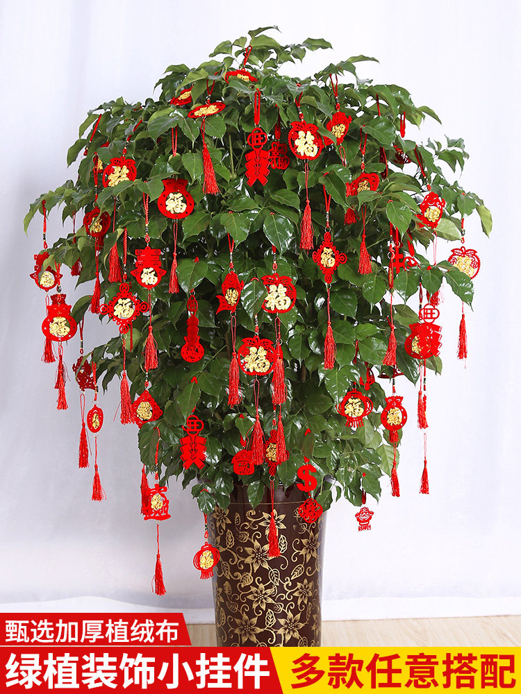 挂树上的小红包盆景盆栽挂件新年春节发财树挂绳红包挂饰装饰布置