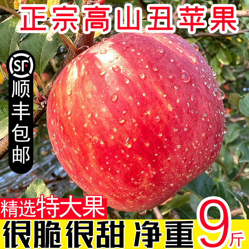 2026正宗丑苹果新鲜水果当季9斤图片