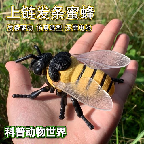 创意上链条蜜蜂儿童仿真动物发条