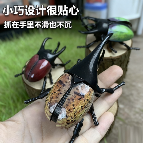 发条甲虫模型独角仙上链昆虫玩具