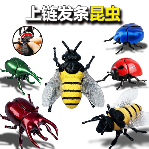 发条玩具昆虫模型仿真会动整蛊