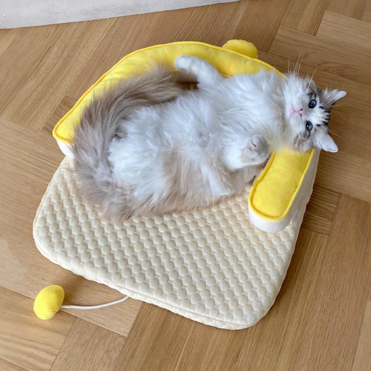 猫窝夏日可拆洗带枕头冰垫防暑降温加厚宠物凉席四季通用猫咪睡垫