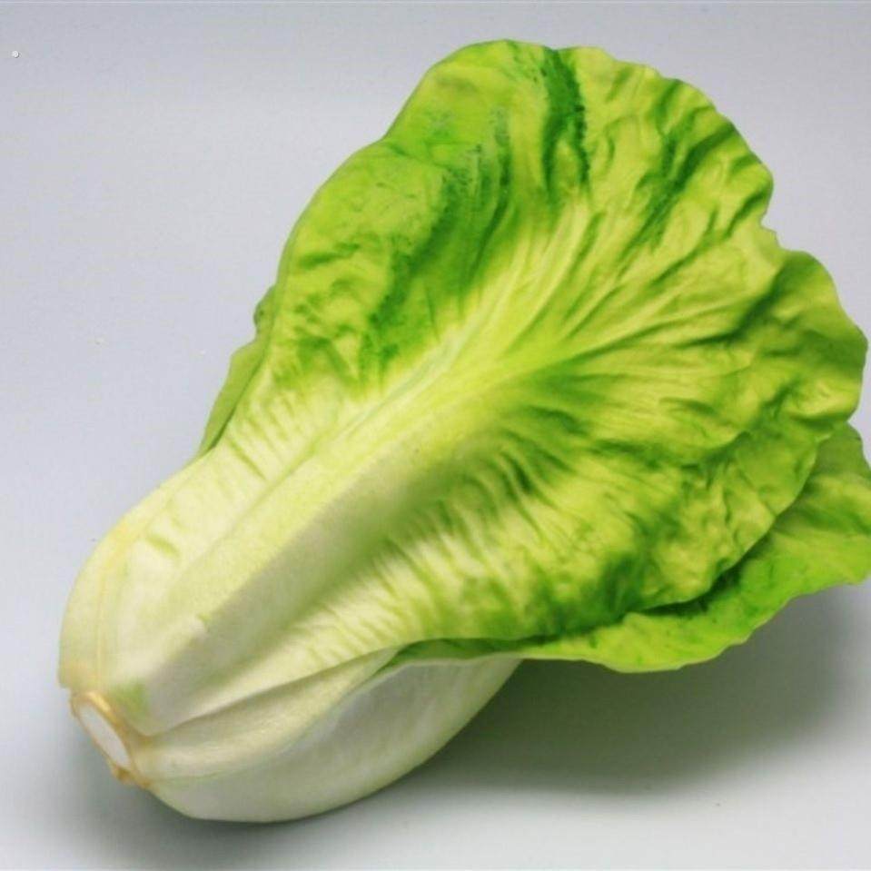 小白菜仿真蔬菜模型假生菜道具家居摆件商场同学水果生菜仿真